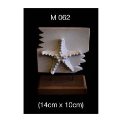 M062 Polyester Masa Süsü-Ahşap Stantlı Deniz Yıldızı Panolu Küçük